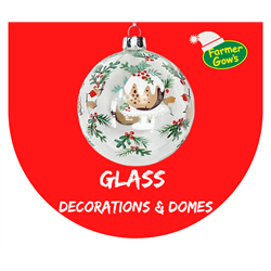 Glass - Decorations & Domes