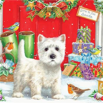 Westie & Robin (Pack of 10)