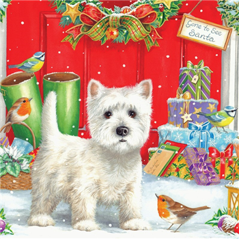 Westie & Robin (Pack of 10)