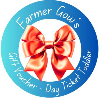 Gift Voucher - Day Ticket for Toddlers, 1-2 yrs
