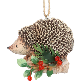 Hedgehog on Holly Log