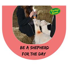 Workshop - Be a Shepherd