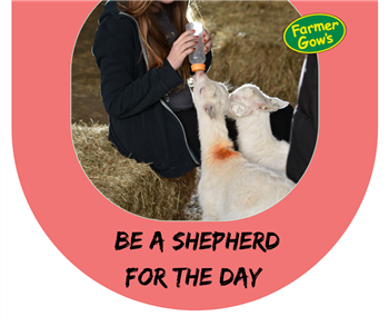 Be a Shepherd