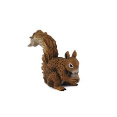 Red Squirrel