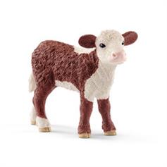 Cattle - Hereford calf