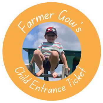 Child Day Ticket, 3-16 yrs