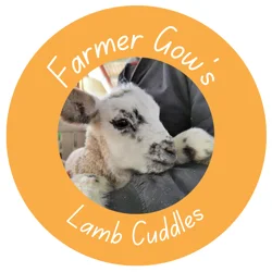 Hand Feed a Lamb Oxfordshire - March & April