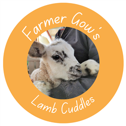 Lamb Cuddles Oxfordshire - March