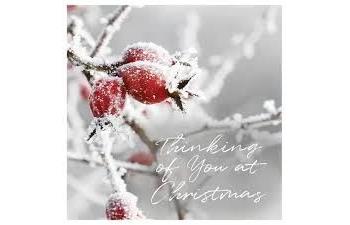 Thinking of You at Christmas