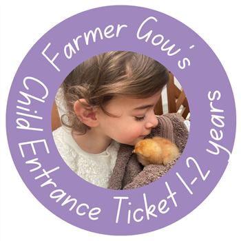 Child Day Ticket, 1-2 yrs