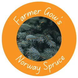 Needle Fresh - Norway Spruce