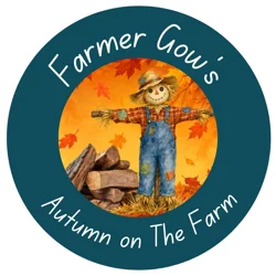 Autumn Adventures