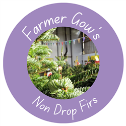 Non-drop Firs