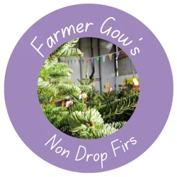 Non-drop - Nordmann & Lasio Carpa Firs