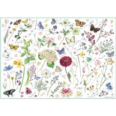 Madeleine Floyd - Flowers & Butterflies