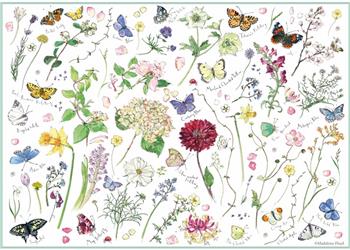 Madeleine Floyd - Flowers & Butterflies