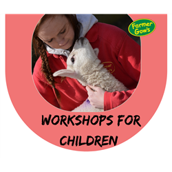 Workshops for Children