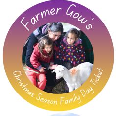 Christmas Season - Day Ticket for a Family