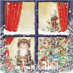Waiting for Christmas (Pack of 10)