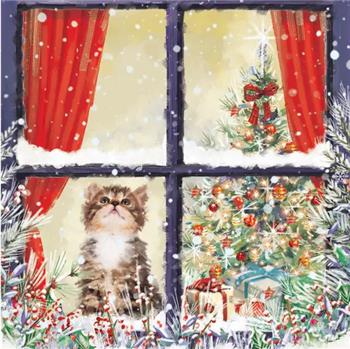 Waiting for Christmas (Pack of 10)
