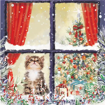 Waiting for Christmas (Pack of 10)