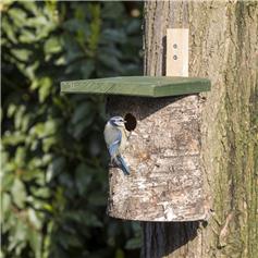 National Trust Birch Log Nest Box, 28 mm
