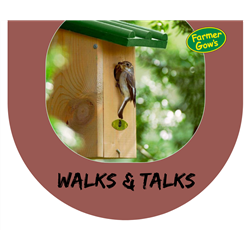 Walks & Talks