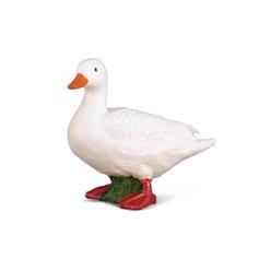 White Duck