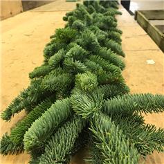 Blue Noble Fir Garland - 1m