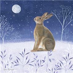Midnight Hare (Pack of 10)