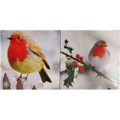 Robins (Pack of 12)