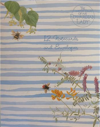 Morning Sunshine - 12 notecards & envelopes