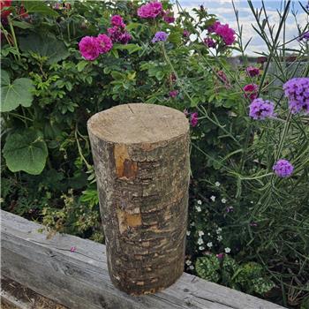 Chopping Block