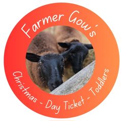 Christmas Season Day Ticket, Toddler, 1-2 years