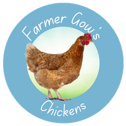 Chickens - Point of Lay