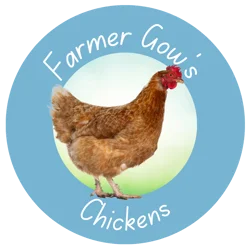 Chickens - Point of Lay and Bantams