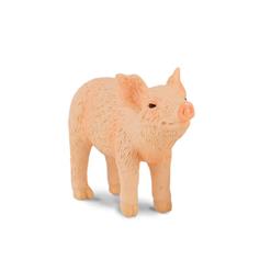 Piglet Smelling