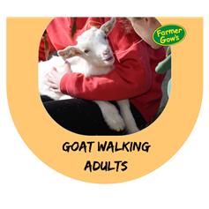 Goat Walking - Adult