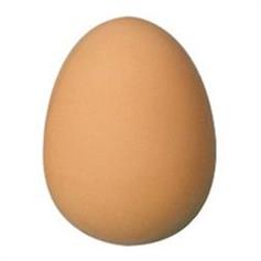 Bouncy egg ball - white or brown
