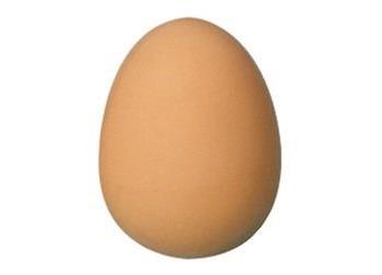 Bouncy Egg Ball