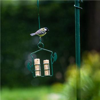 Energy Rolls with Insect Fat