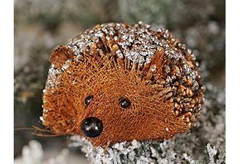 Medium Twig Hedgehog