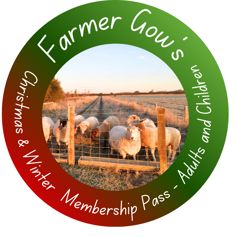 Christmas and Winter Membership Pass for Adults and Children, 3+ years