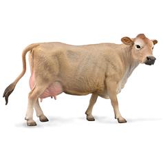 Jersey Cow