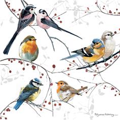 Birds & Berries (Pack of 10)