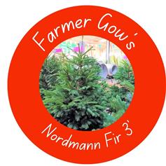 Nordmann Fir ~ 1/1.25m (3 feet)