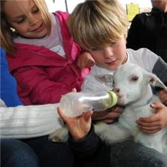 Countryside Education - for teachers/leaders of school/group trips