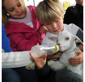 Countryside Education - for teachers/leaders of school/group trips