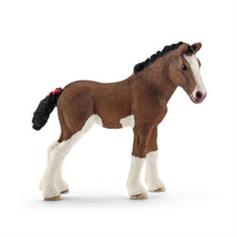Horse - Clydesdale foal