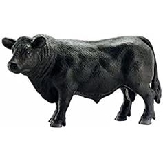 Cattle - Black Angus bull